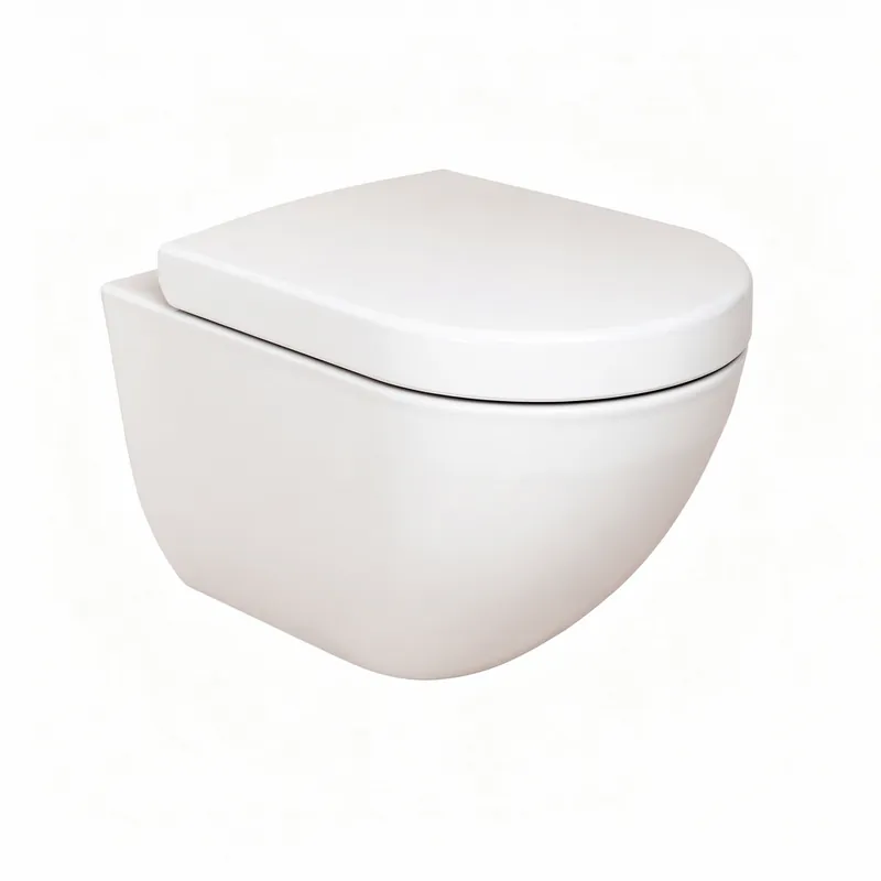 Pose WC Suspendu Fosses